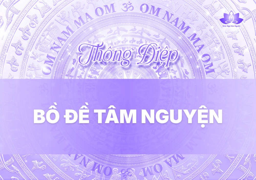 BỒ ĐỀ TÂM NGUYỆN