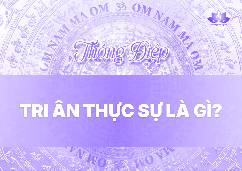 TRI ÂN THỰC SỰ LÀ GÌ