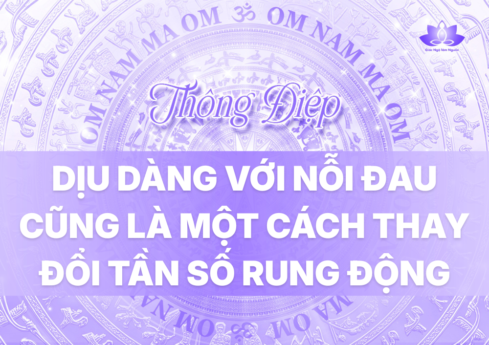 DỊU DÀNG VỚI NỖI ĐAU CŨNG LÀ MỘT CÁCH THAY ĐỔI TẦN SỐ RUNG ĐỘNG