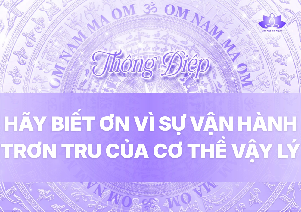 HÃY BIẾT ƠN VÌ SỰ VẬN HÀNH TRƠN TRU CỦA CƠ THỂ VẬY LÝ