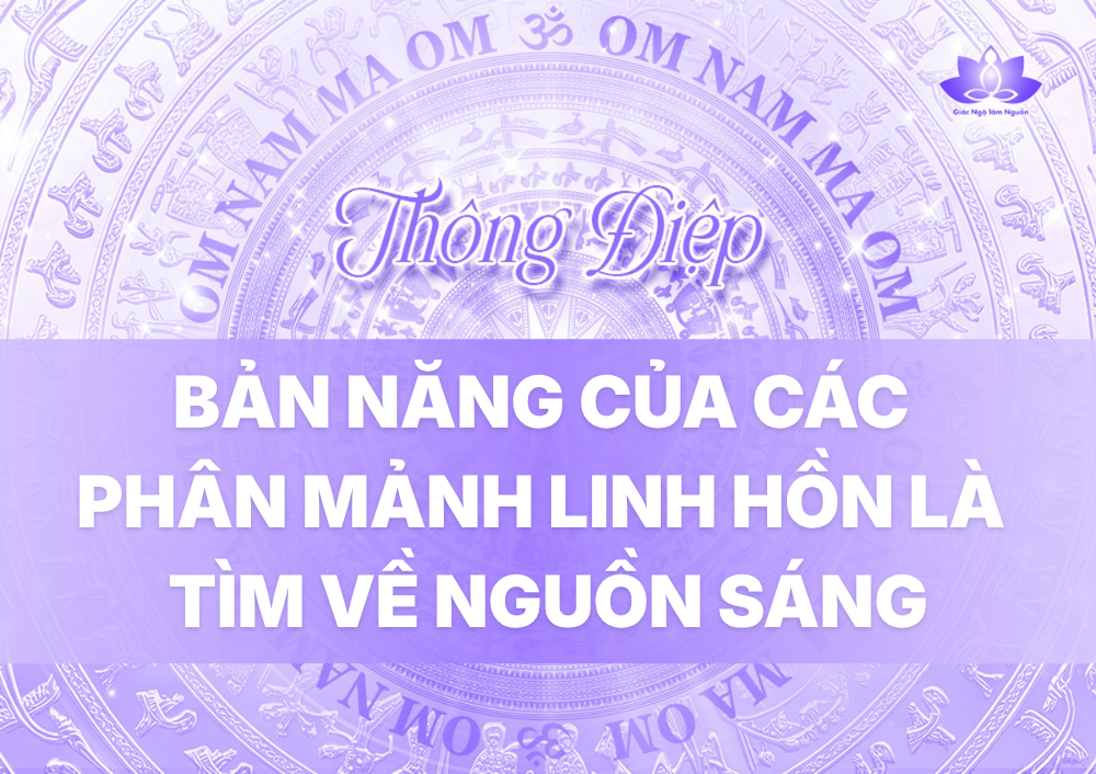 BẢN NĂNG CỦA CÁC PHÂN MẢNH LINH HỒN LÀ TÌM VỀ NGUỒN SÁNG