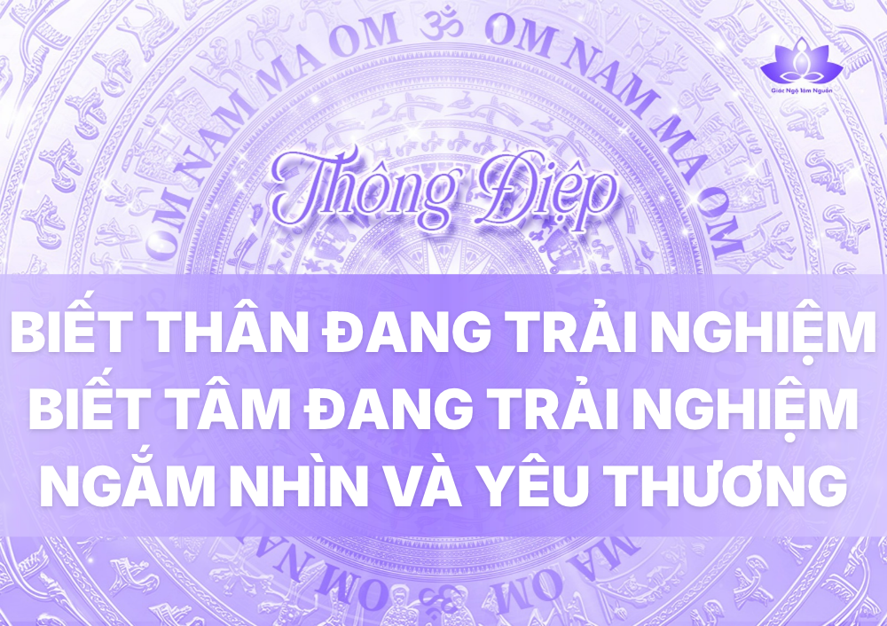 BIẾT THÂN ĐANG TRẢI NGHIỆM - BIẾT TÂM ĐANG TRẢI NGHIỆM - NGẮM NHÌN VÀ YÊU THƯƠNG