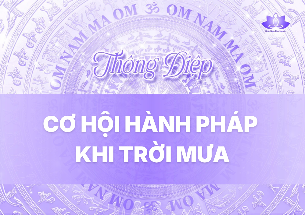 CƠ HỘI HÀNH PHÁP KHI TRỜI MƯA