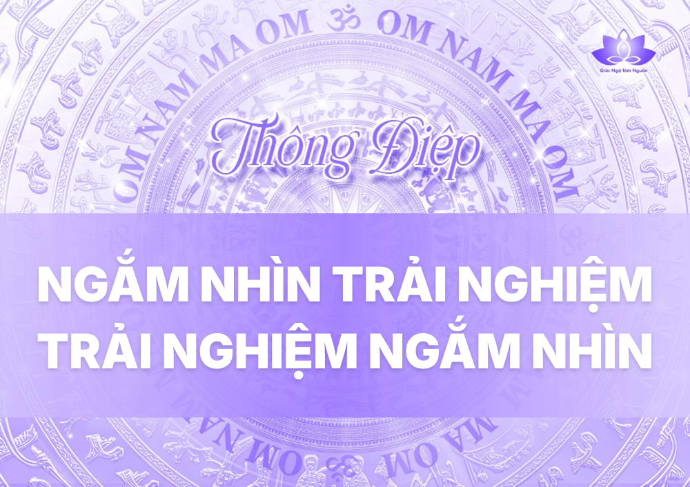 NGẮM NHÌN TRẢI NGHIỆM - TRẢI NGHIỆM NGẮM NHÌN